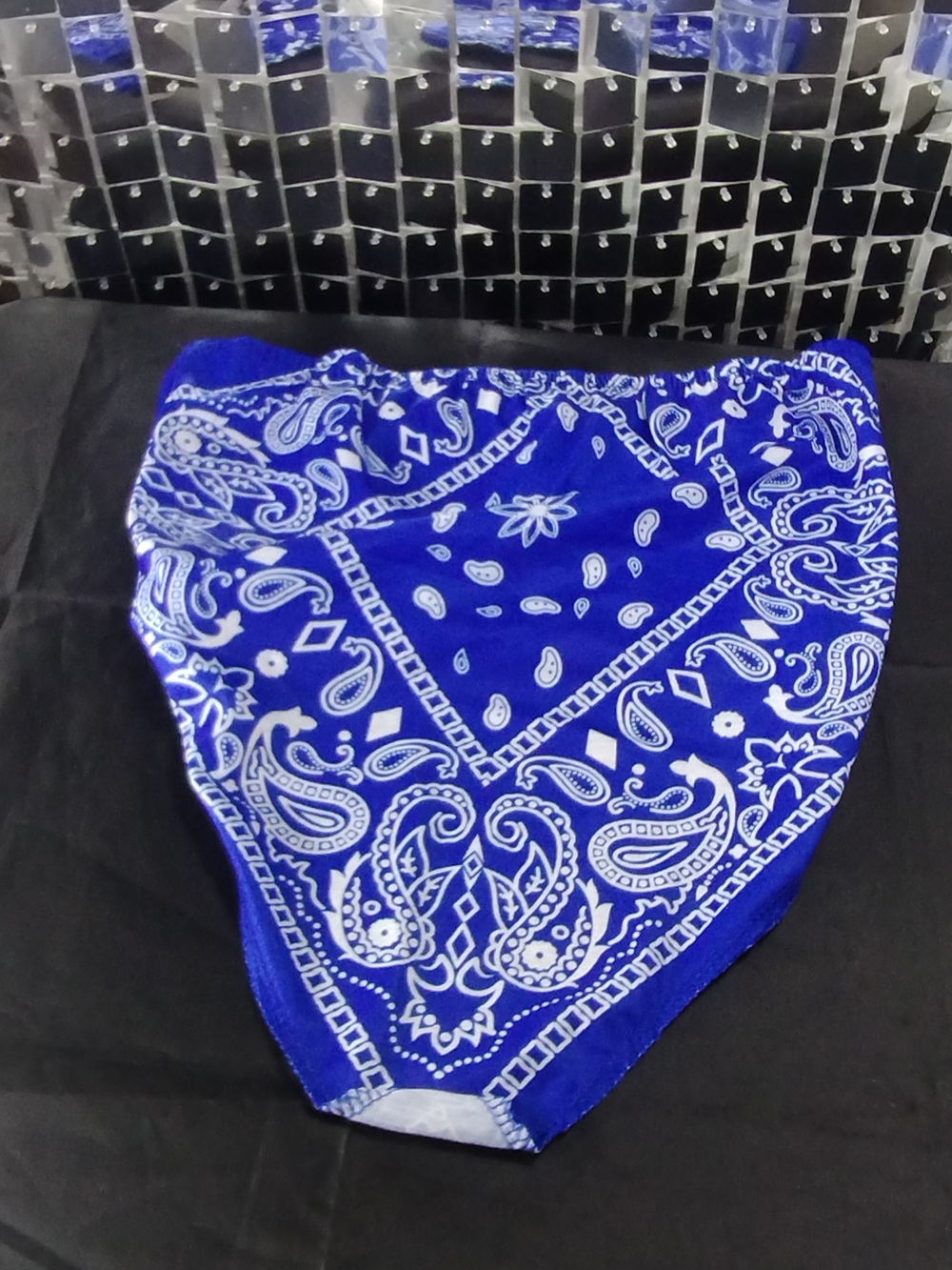 Blue Paisley Bandana-Style Women’s Shorts